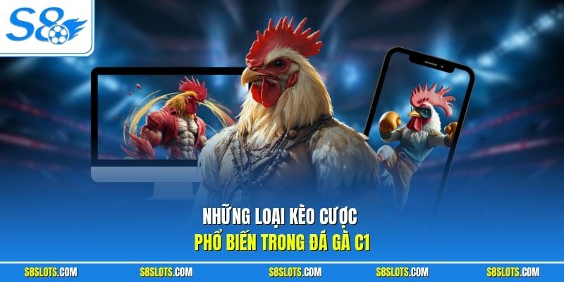 Những loại kèo cược phổ biến trong đá gà C1 tại S8