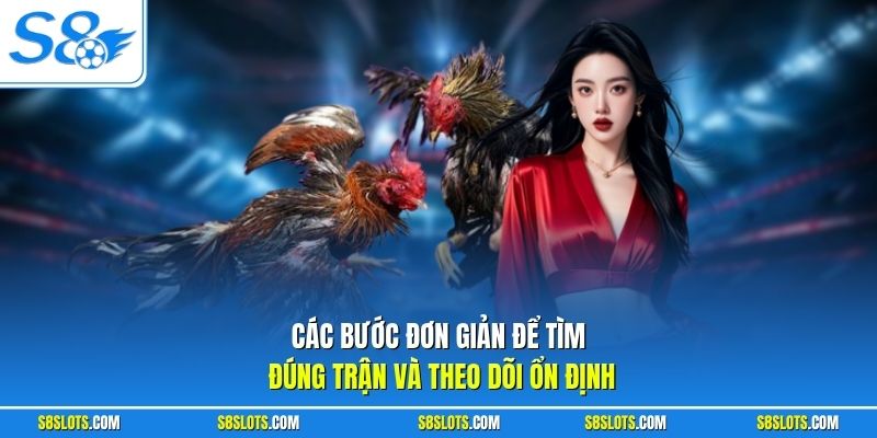 Các bước đơn giản để tìm kiếm live đá gà hôm nay đúng trận và theo dõi ổn định