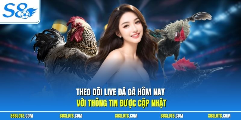 Theo dõi live đá gà hôm nay tại S8 với thông tin được cập nhật
