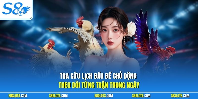 Tra cứu lịch đấu live đá gà hôm nay để chủ động theo dõi từng trận trong ngày