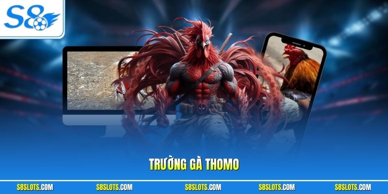 truong-ga-thomo
